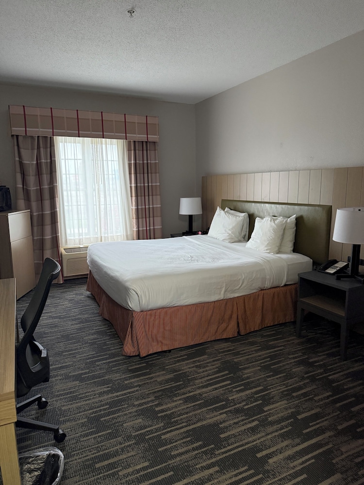 Room, King Bed
