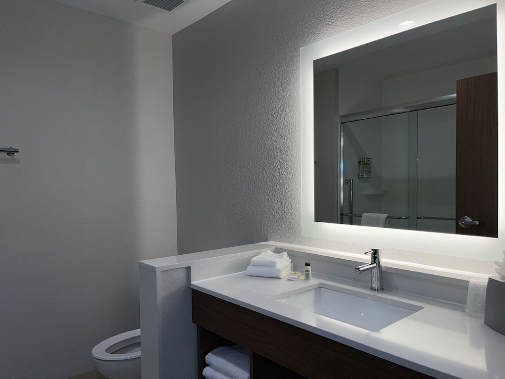 Holiday Inn Express & Suites Dallas Market Center – Love Fi 20/57