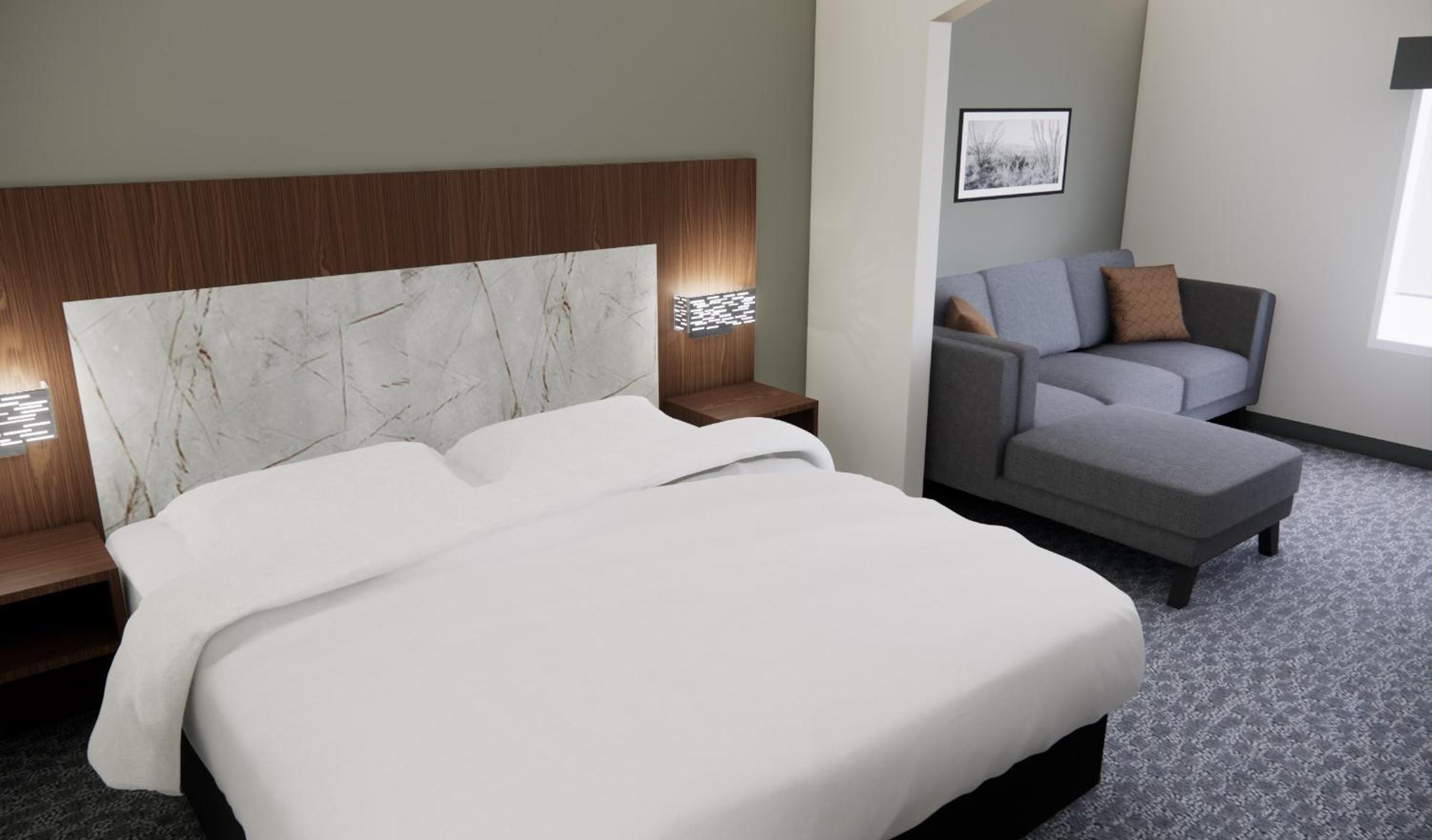 SUITE, KING BED, ACCESSIBLE