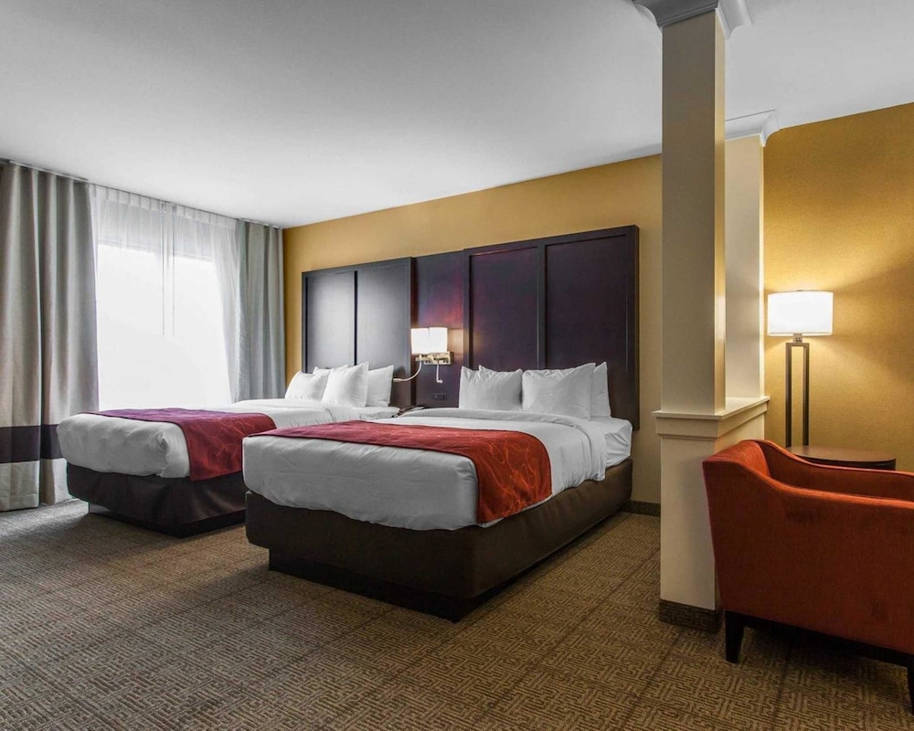 Comfort Suites Youngstown North 9/37