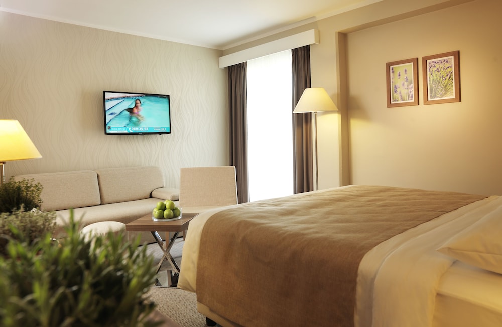 Wellness Hotel Apollo 4/33