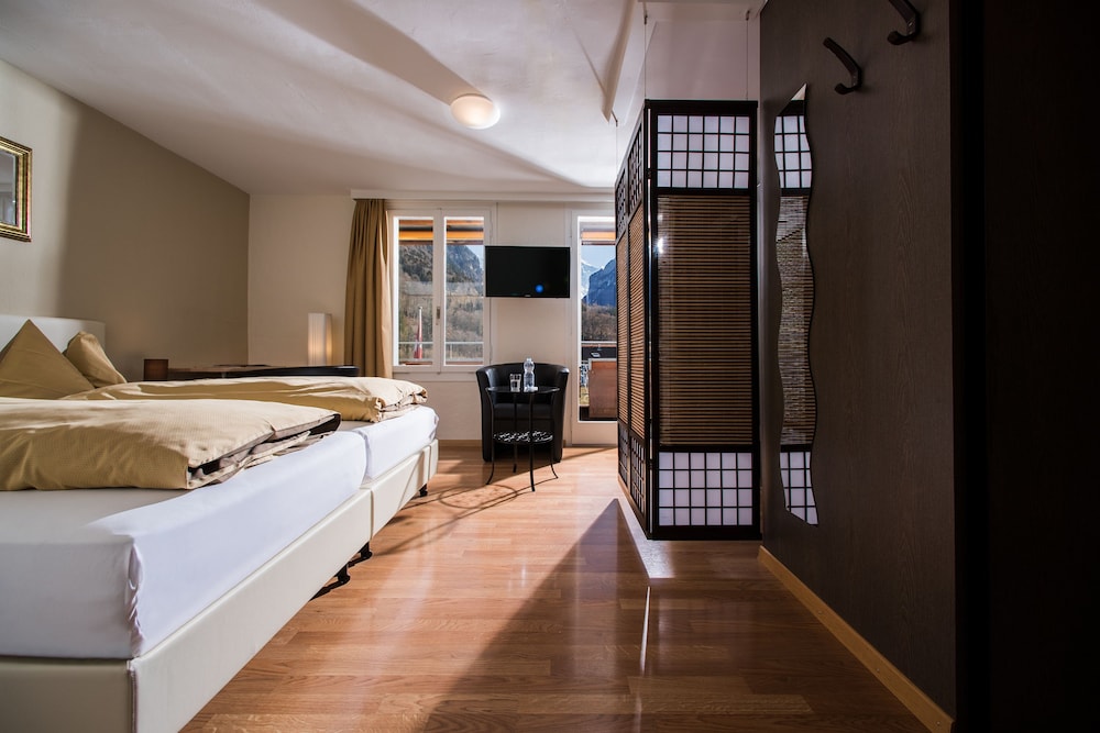 Jungfrau Hotel 13/54