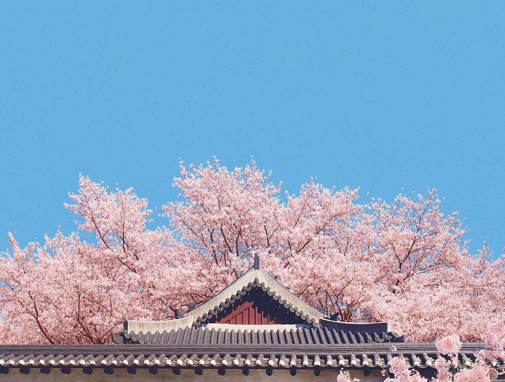 Lahan Hotel Jeonju 45/50