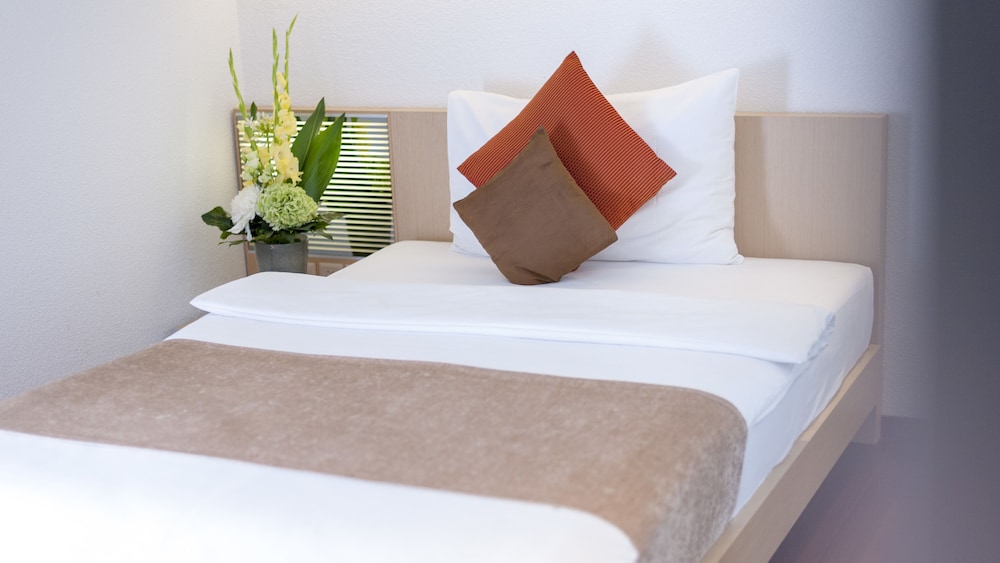 Hotel Krone Unterstrass 33/62