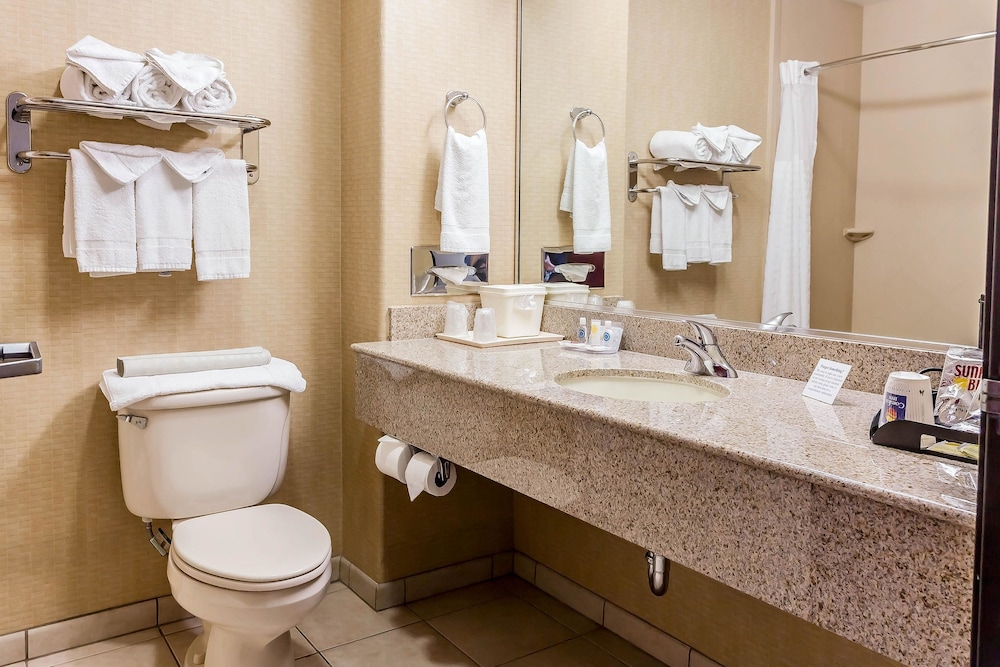 Comfort Inn & Suites Airport Convention Center 12/43