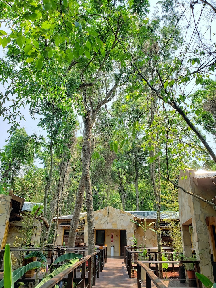 Selva de Laurel 59/71
