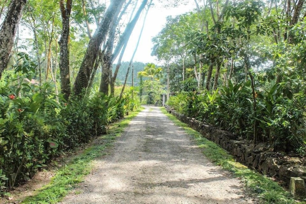 Plantation Villa 31/41