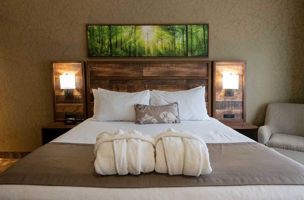 Best Western Plus Valemount Inn & Suites 23/65