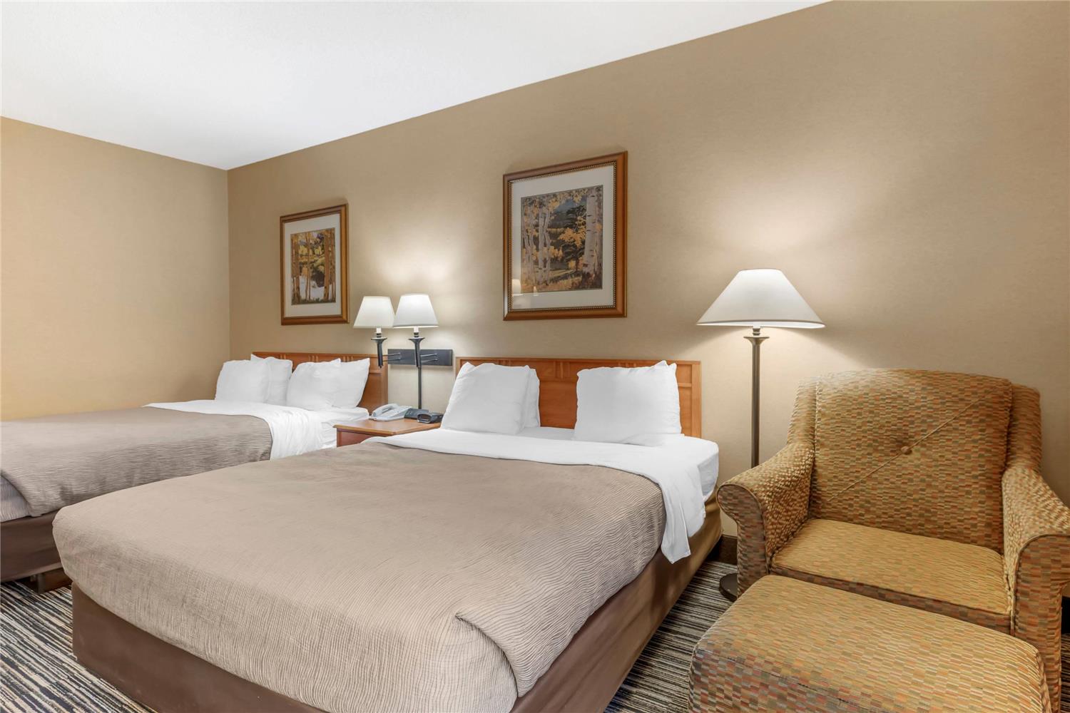 Quality Inn & Suites Wellington - Fort Collins 13/32
