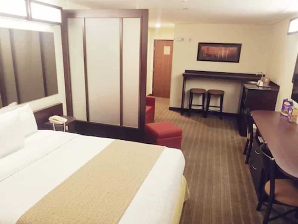 Microtel Inn and Suites by Wyndham Toluca 8/41