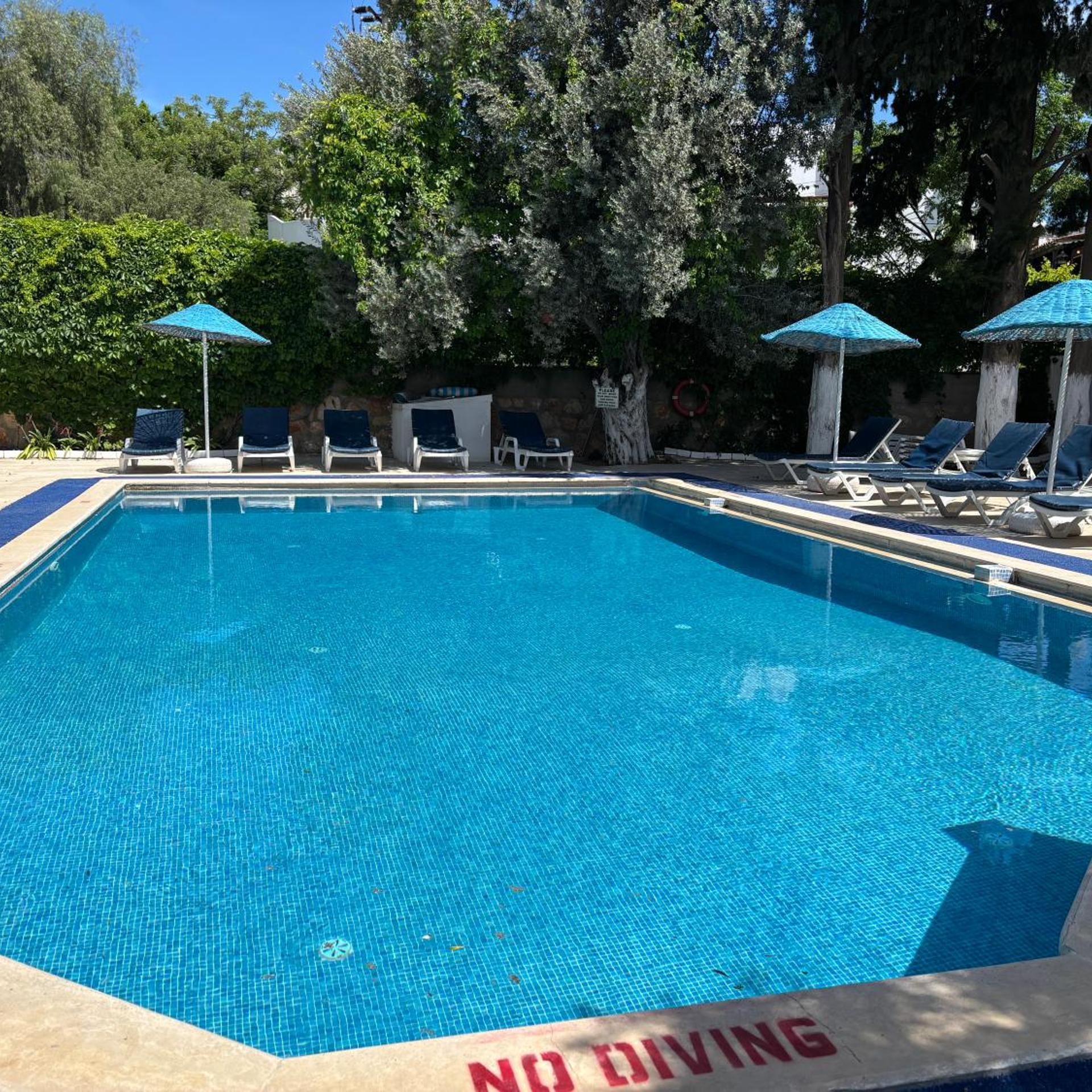 Ali Baba Hotel 29/55
