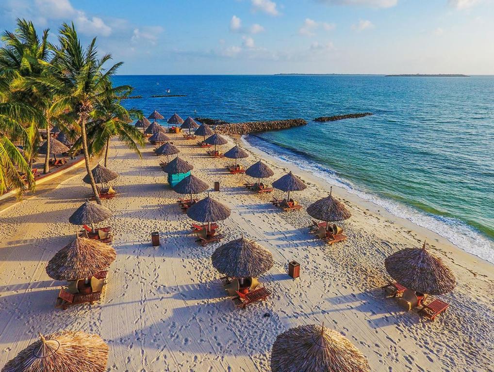 2 Bedrooms, Ocean, Suite, Queen and Twin Beds