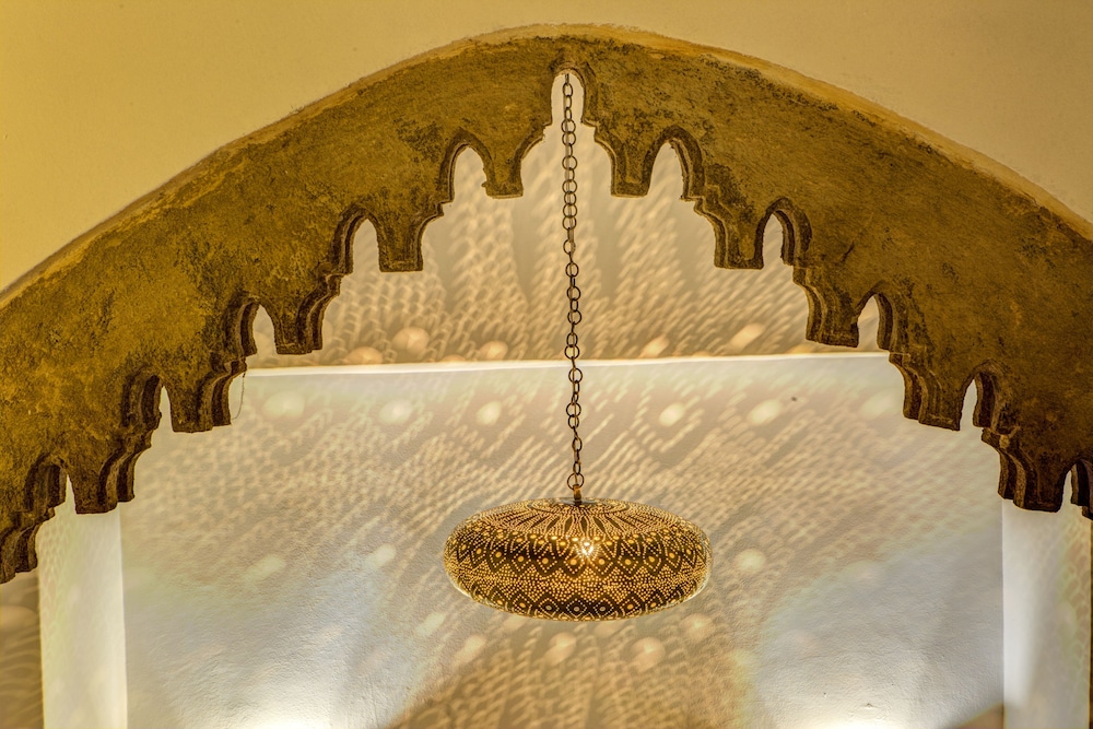 Riad Amaris photo5