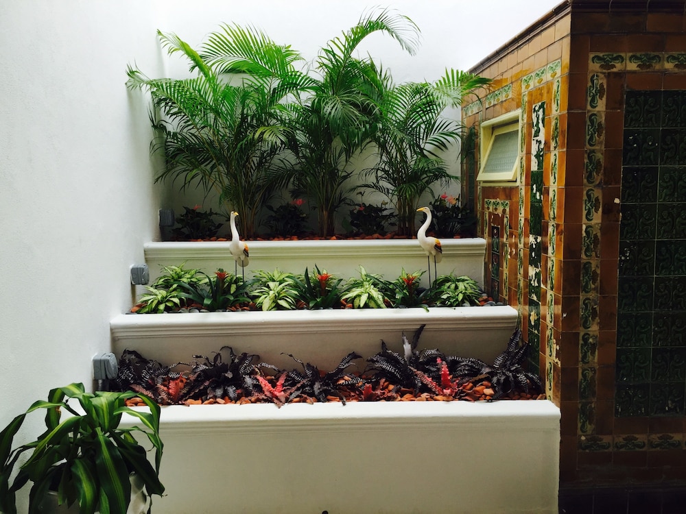 Heeren Palm Suites 10/55