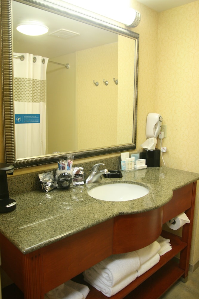 Hampton Inn & Suites Lino Lakes 14/41