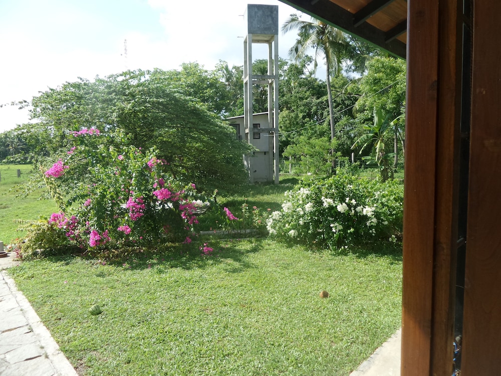 Cocoworld Bungalow 26/50