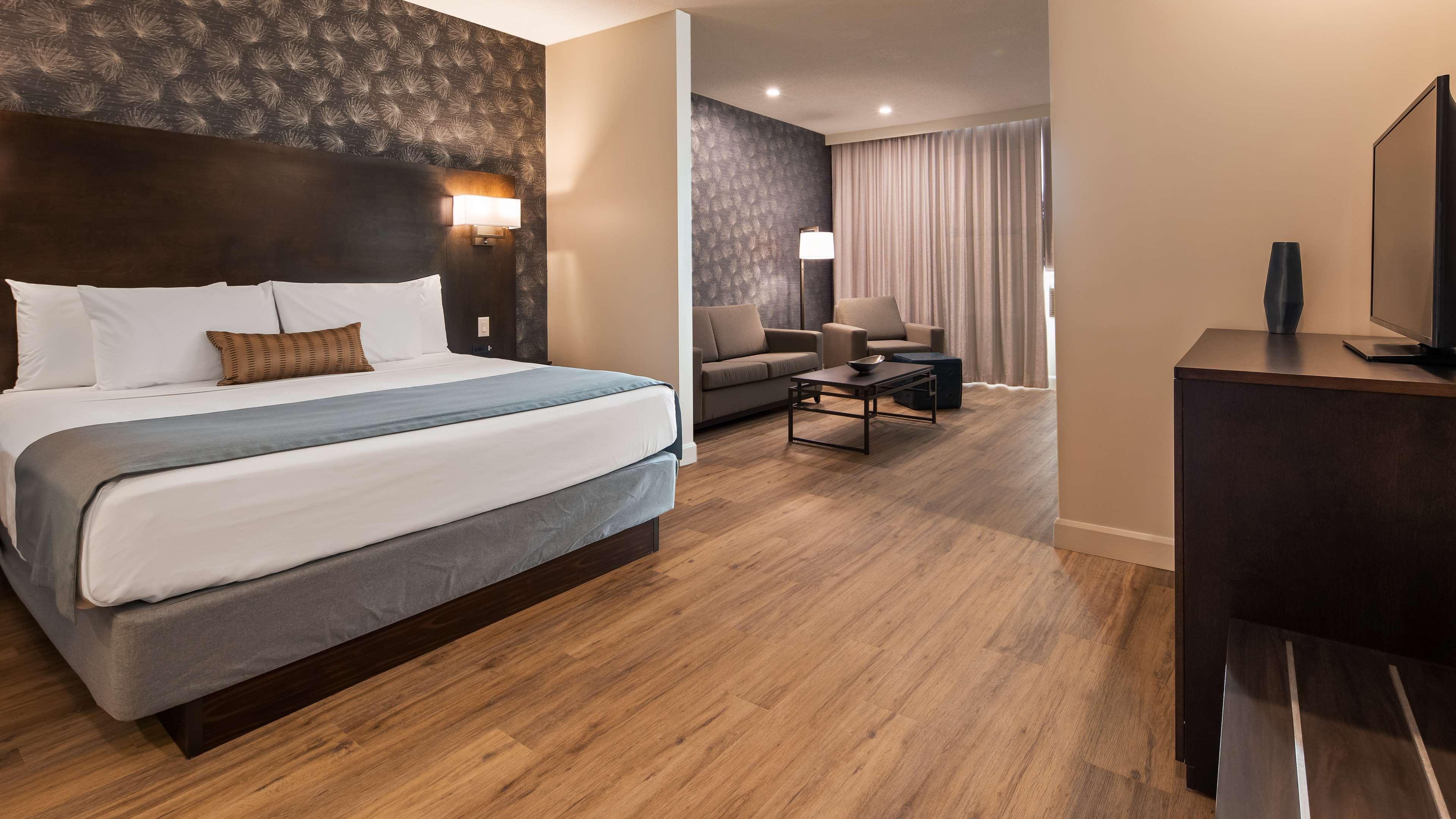 Suite, King Bed