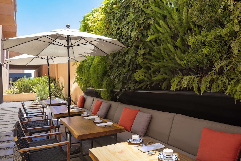 Hyatt Centric Campestre Leon 31/44
