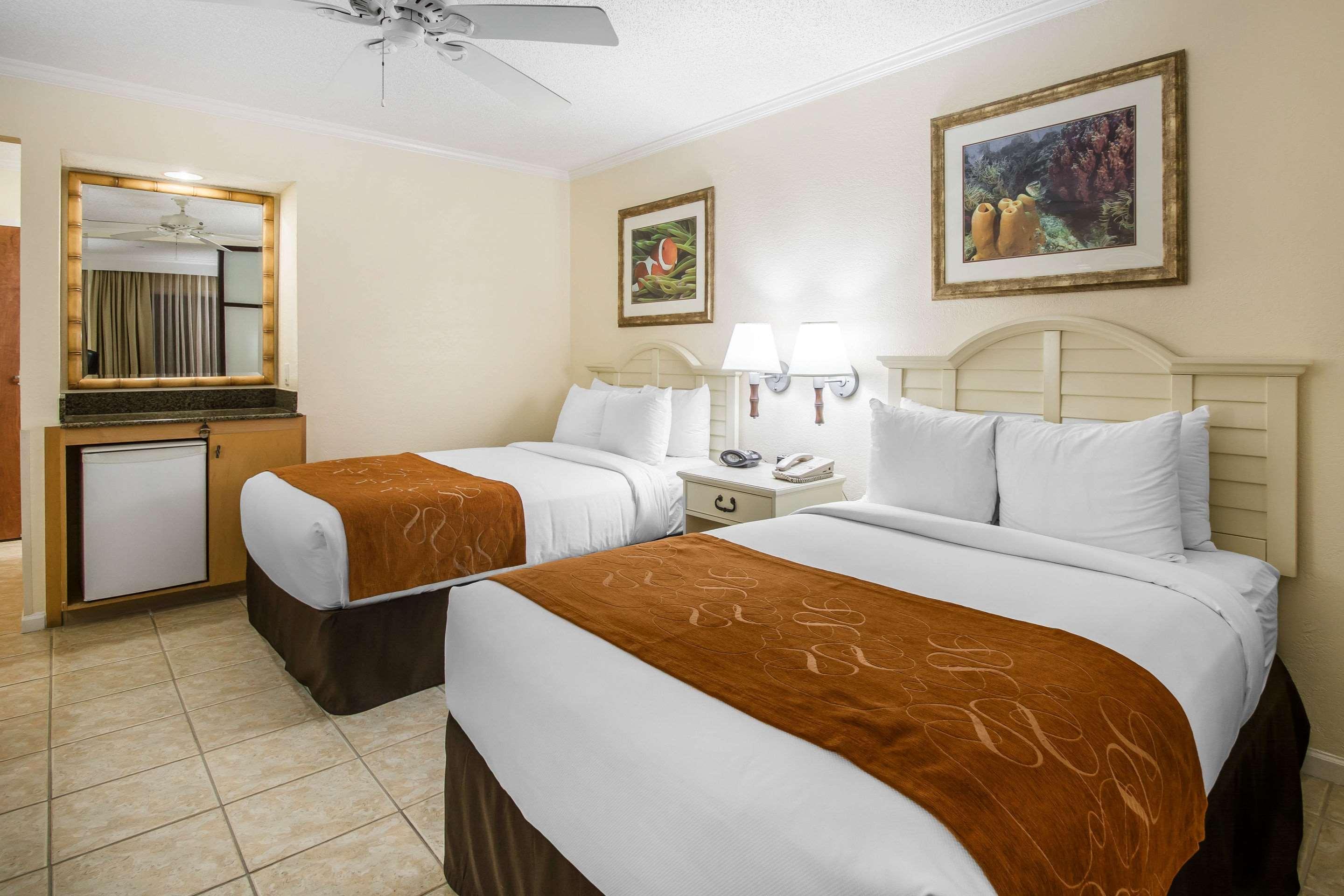 SUITE, 2 DOUBLE BEDS, ACCESSIBLE