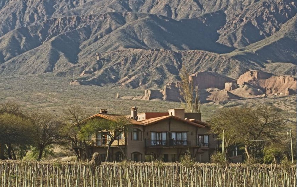 La Casa de la Bodega 27/40
