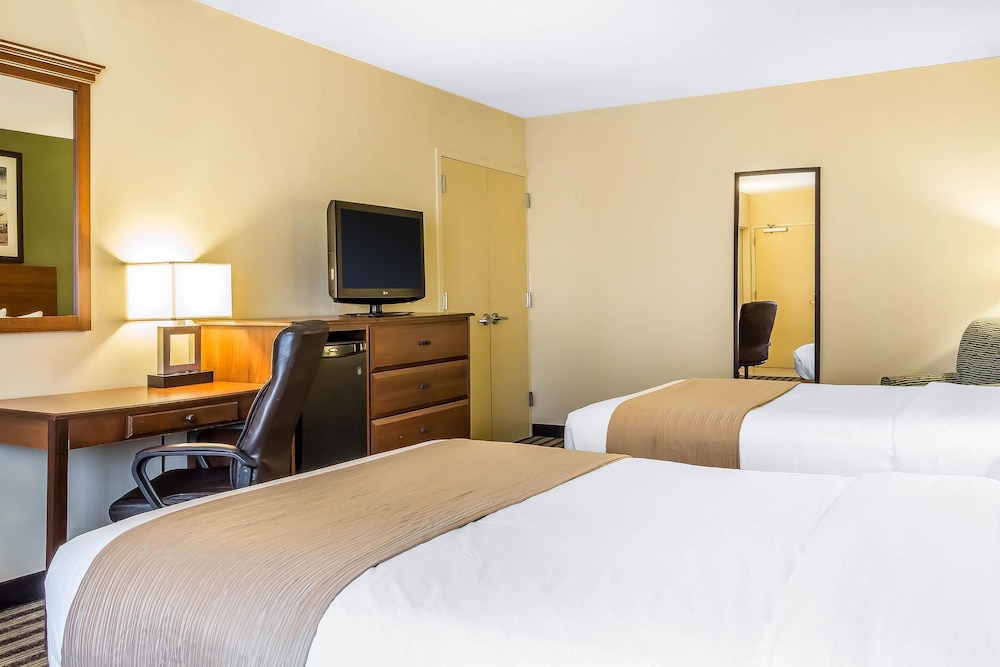 Quality Inn Flamingo 20/40