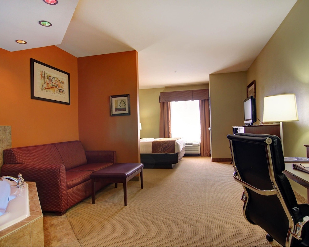 Comfort Suites El Paso West 31/49