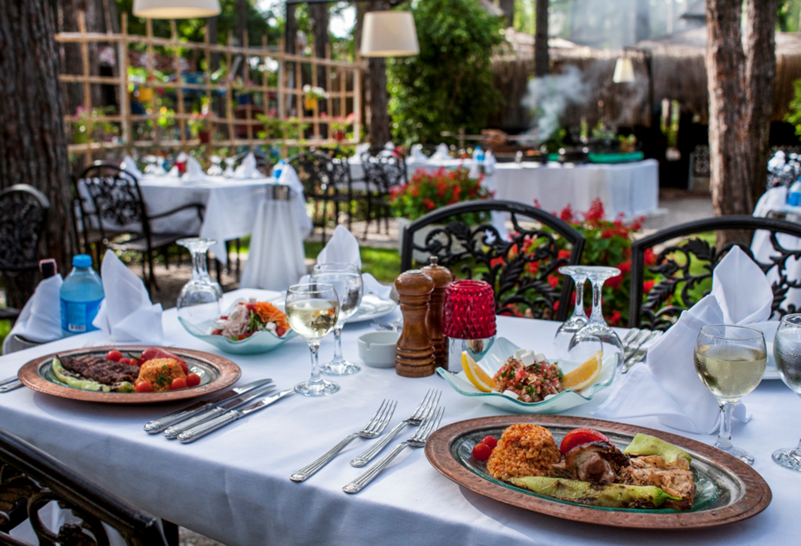Gypsophila Club Marine 24/50