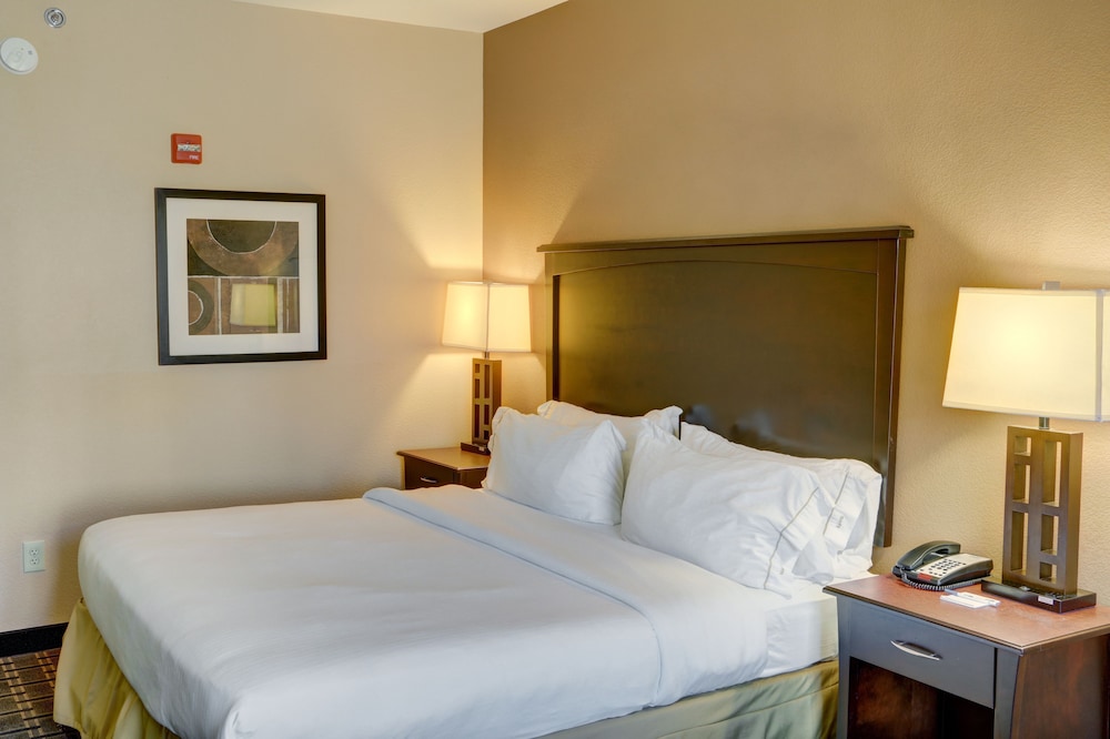 Holiday Inn Express Hotel & Suites Texarkana East 15/54