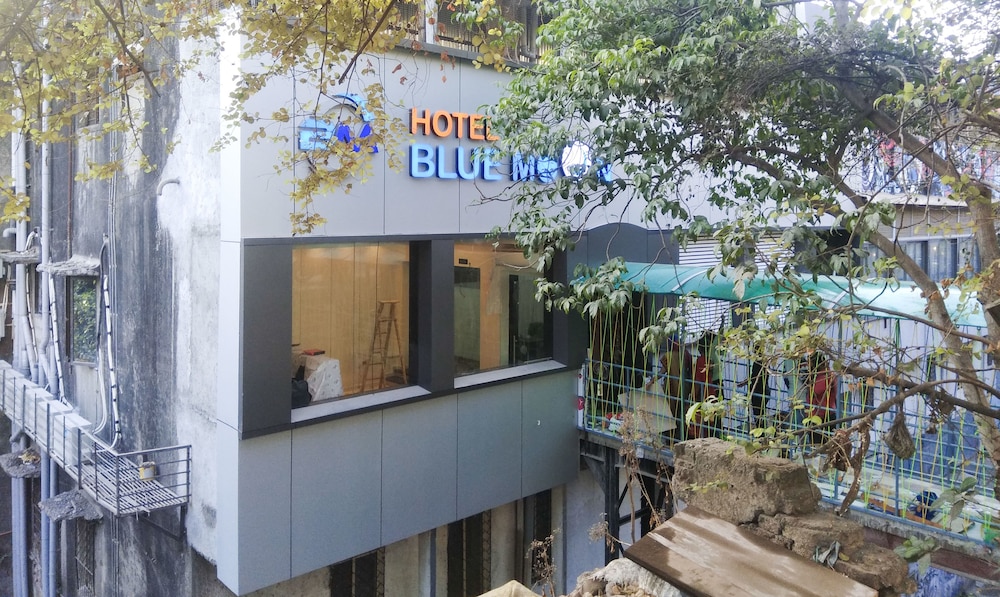 Treebo Blue Moon Powai 1/26