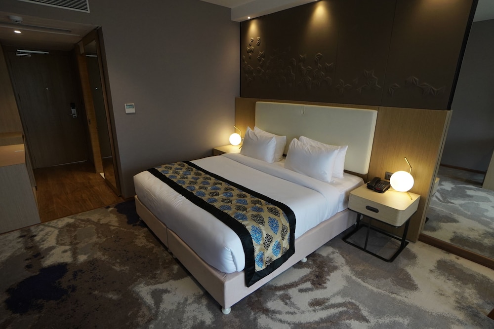 Clarks Inn Suites Raipur 20/50