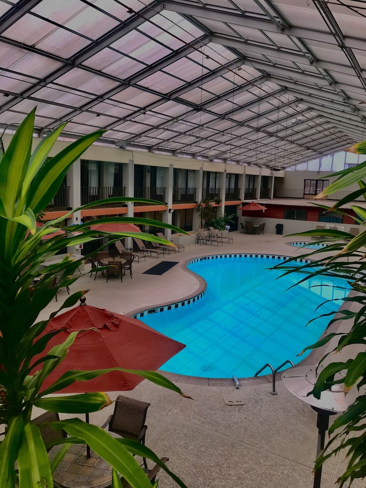 VetteCity Hotel 16/21