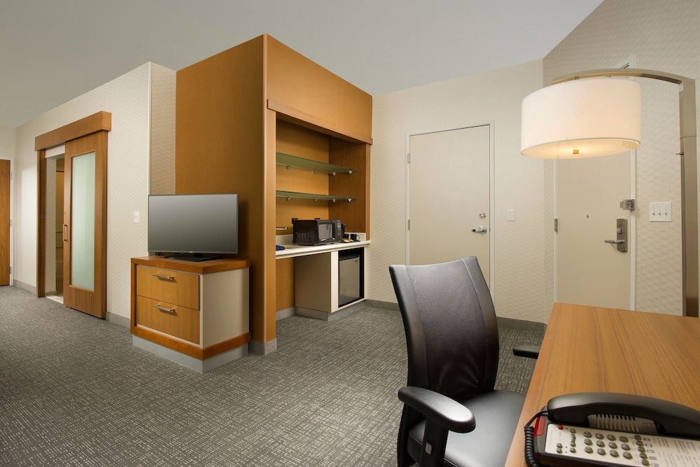 Springhill Suites Bridgeport Clarksburg 29/38