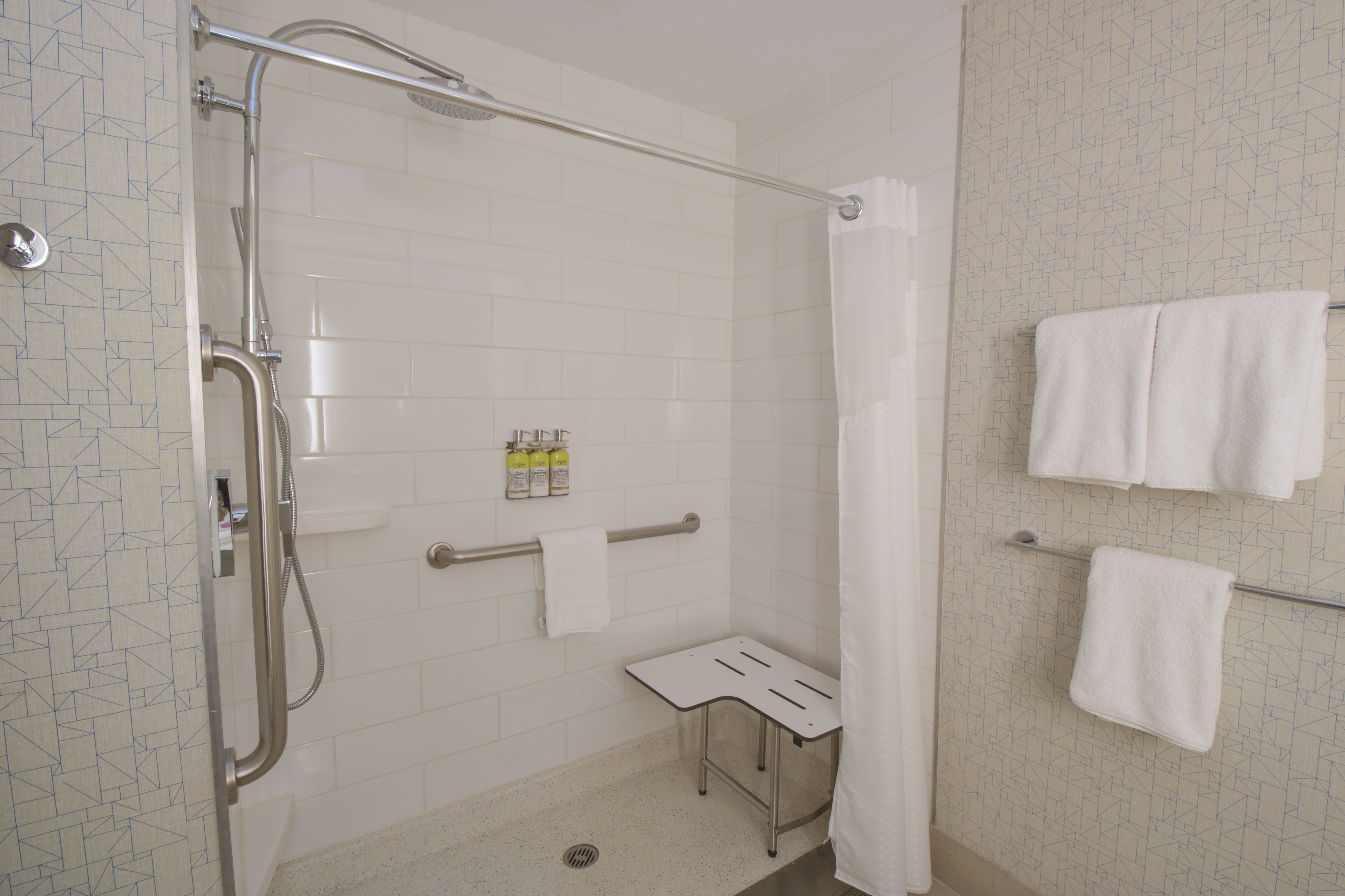 Leisure, King Bed، Holiday Inn Express Hotel And Suites Manassas 3/3