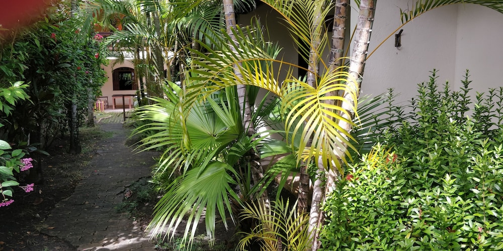 Pousada Tropicalia 31/41