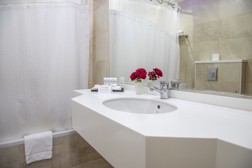 Petra Guest House Hotel 50/50