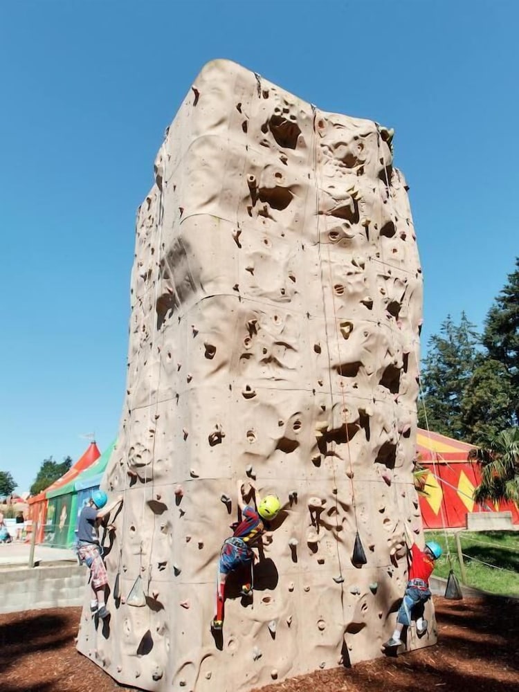 Domaine Des Ormes 3/51