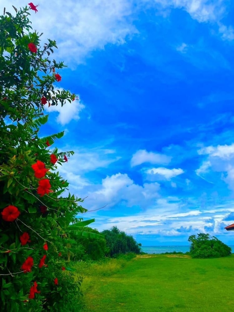 Eco Village Iriomote 58/64