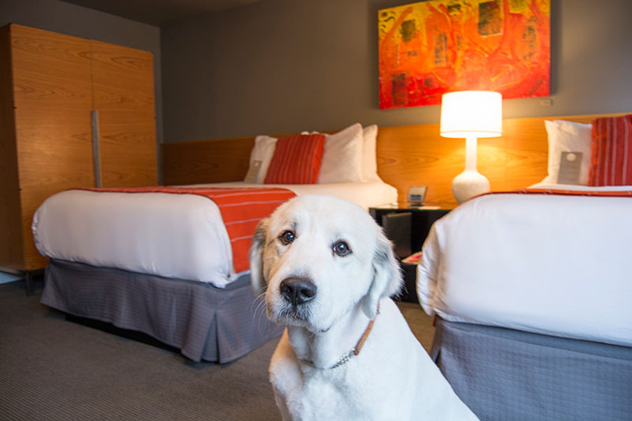 Hotel Max 7/15