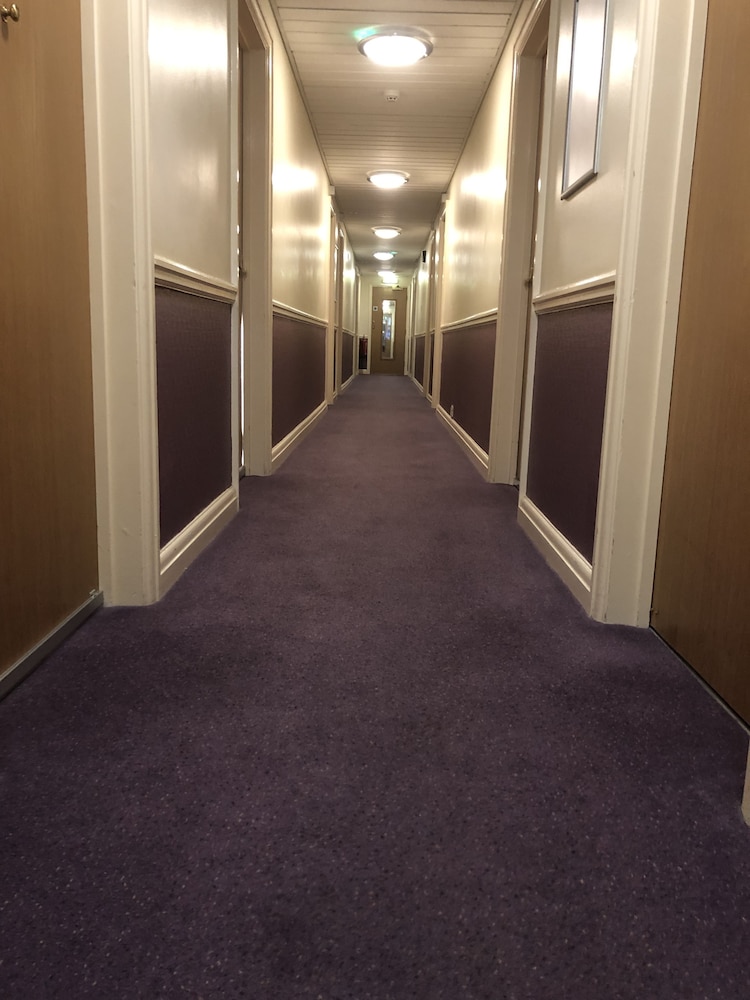 Purple Roomz 15/27