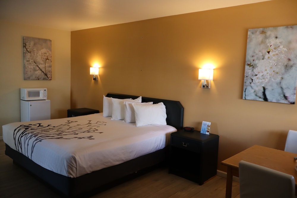 Econo Lodge Inn & Suites Montrose - Black Canyon Area 22/47