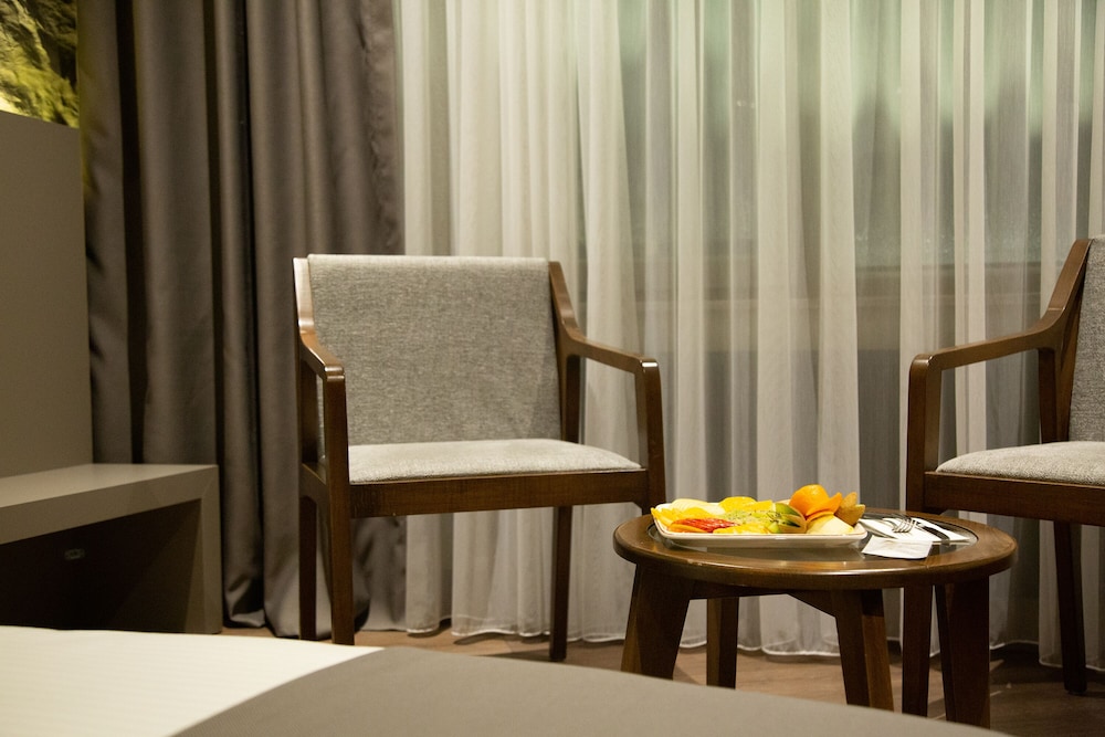 The Erzurum Hotel 37/50