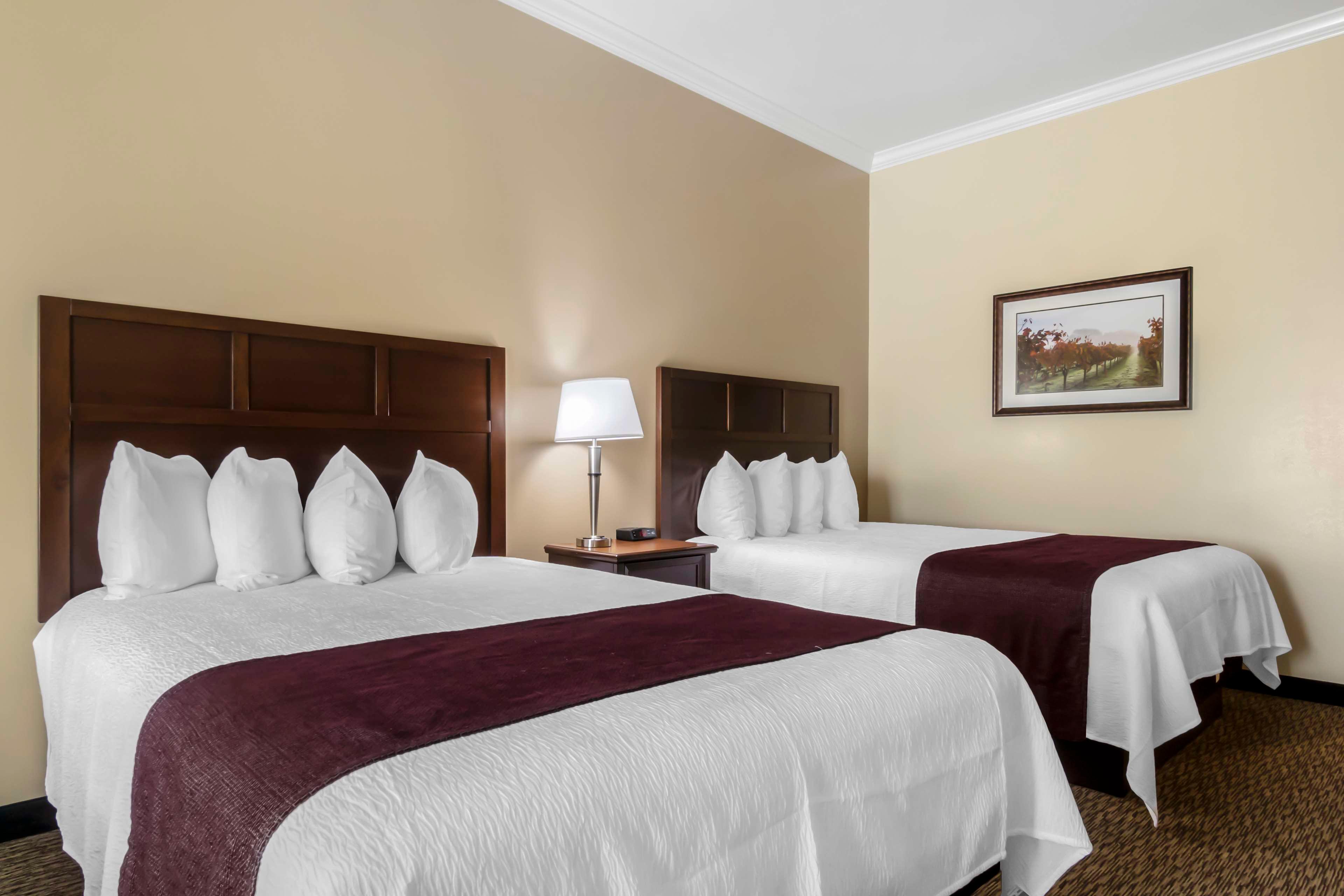 Room, 2 Queen Beds, Vineyard View, Sofa