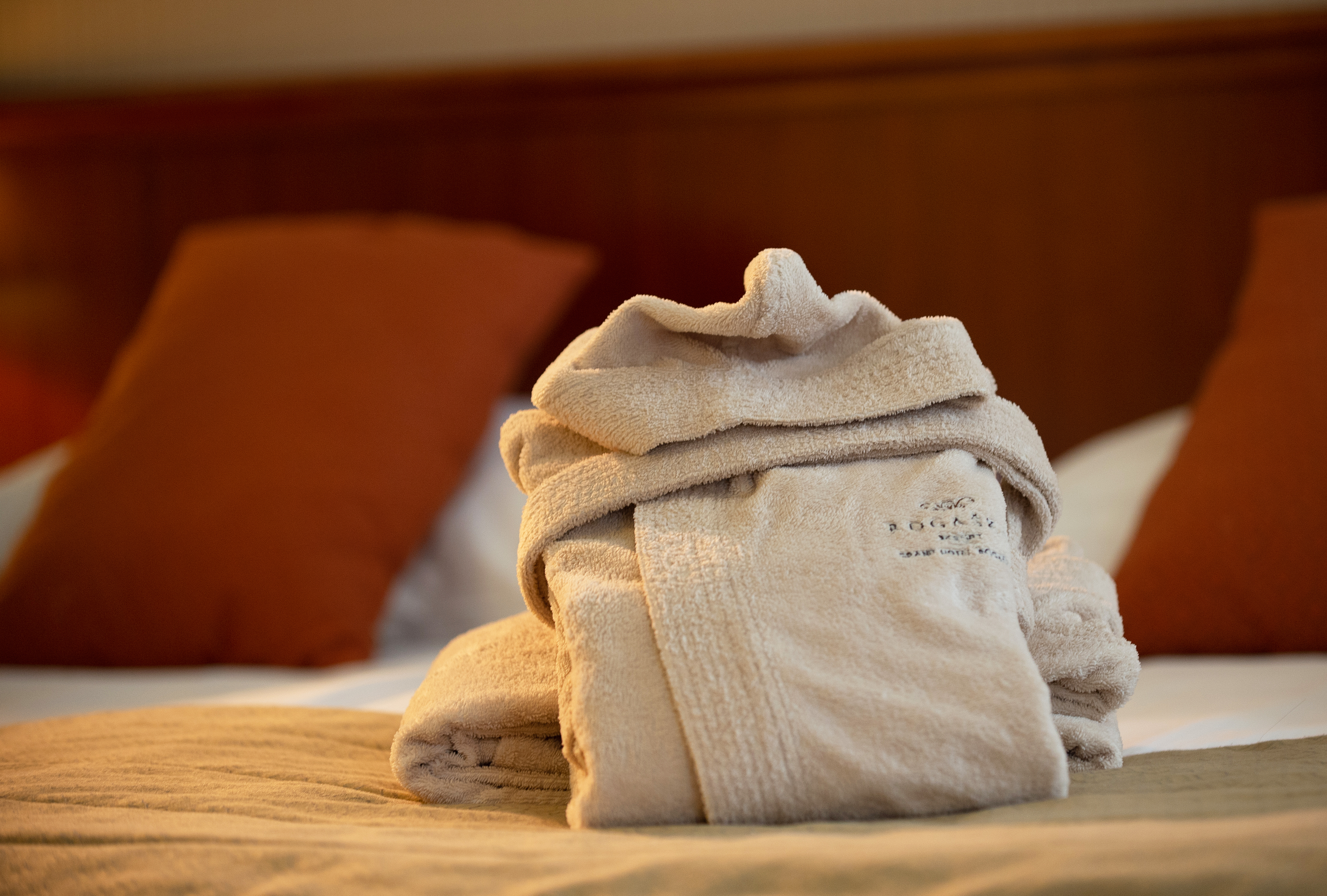 Grand Hotel Rogaska 18/50