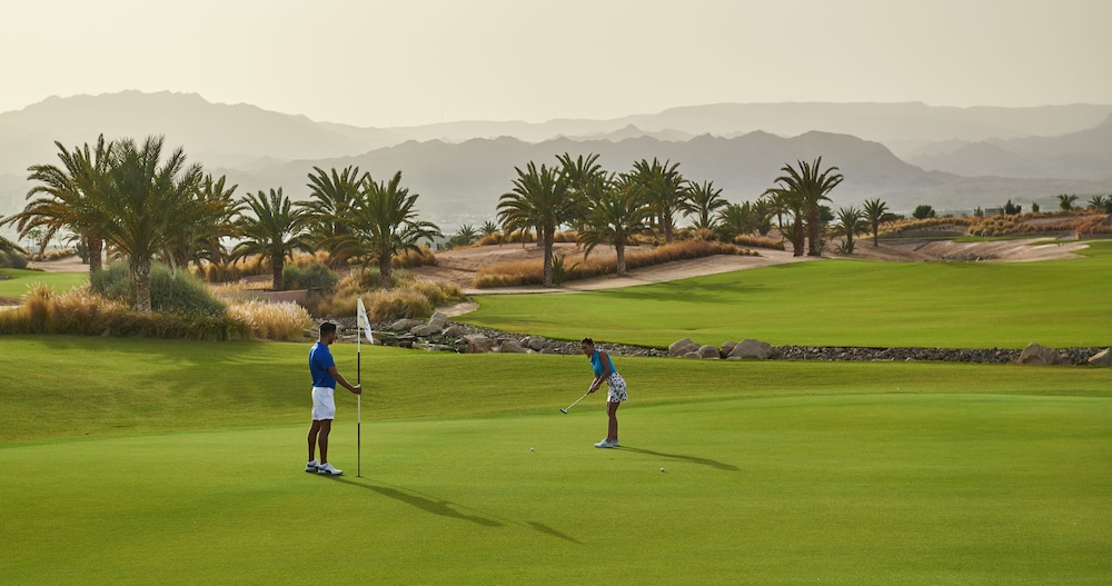 Hyatt Regency Aqaba Ayla Resort 35/62
