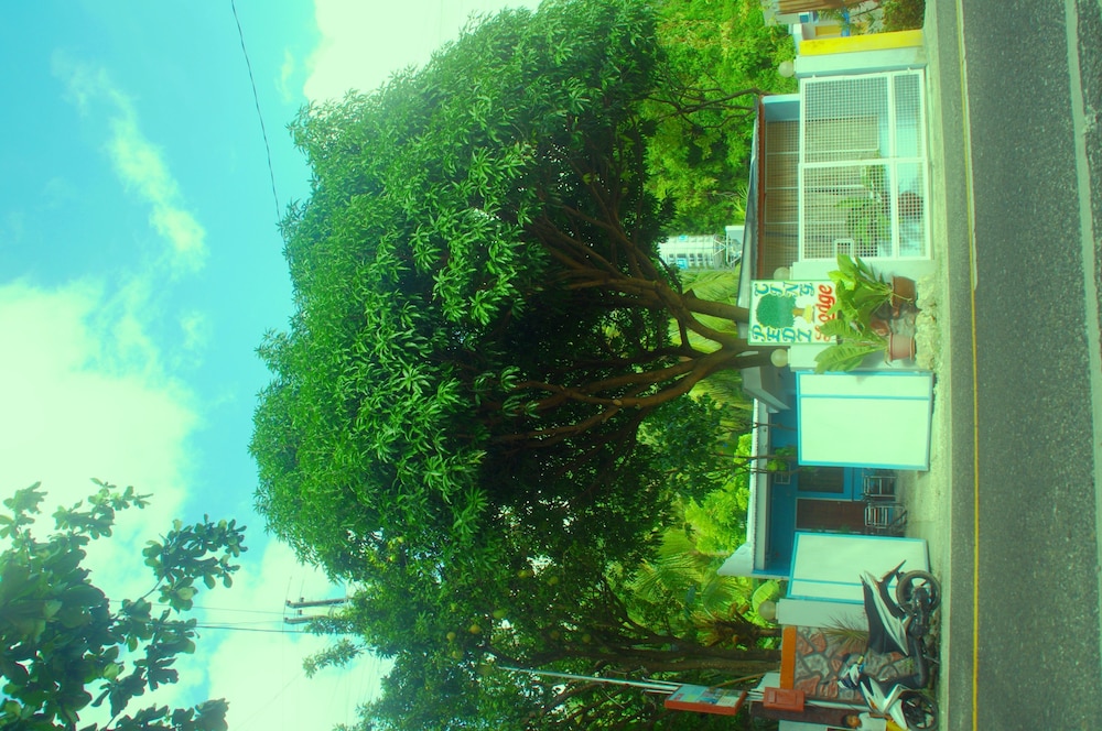 ペッズ シング マンゴー ロッジ 写真4