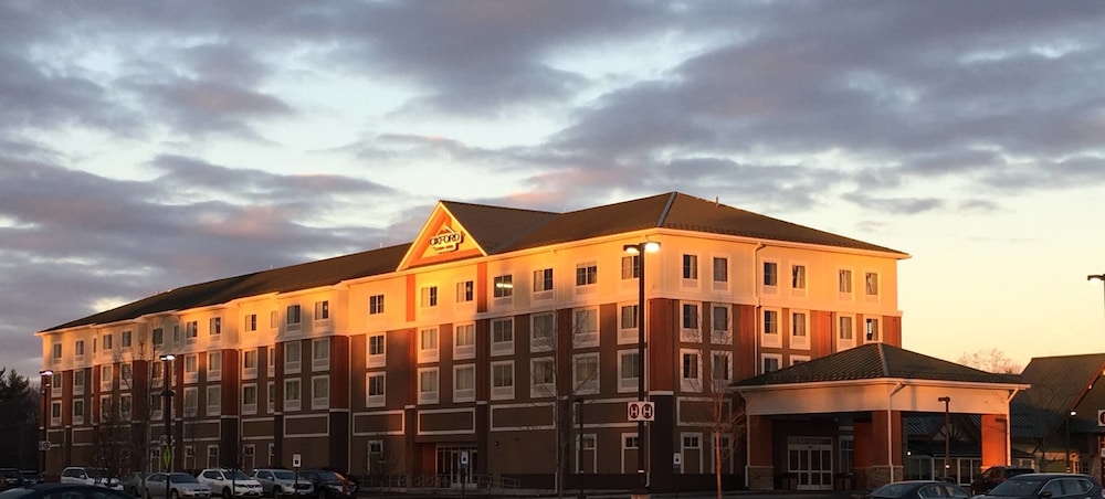Oxford Casino Hotel 1/24
