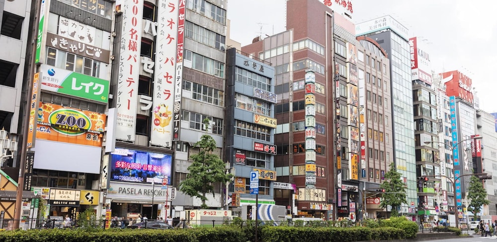 Tokyu Stay Gotanda 4/63