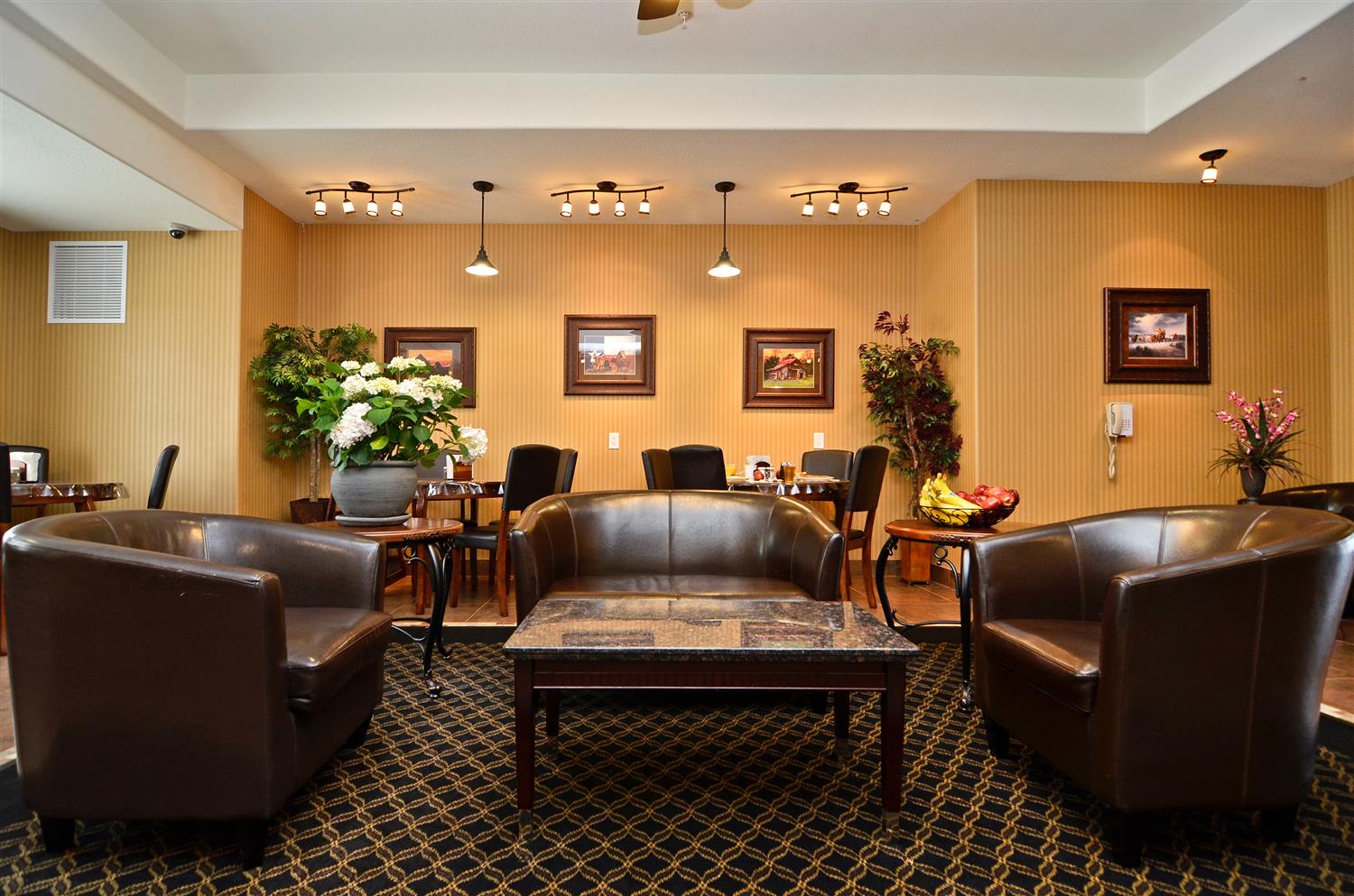 Blanco River Hotel Ex Blanco Luxury Inn Suites 40/59