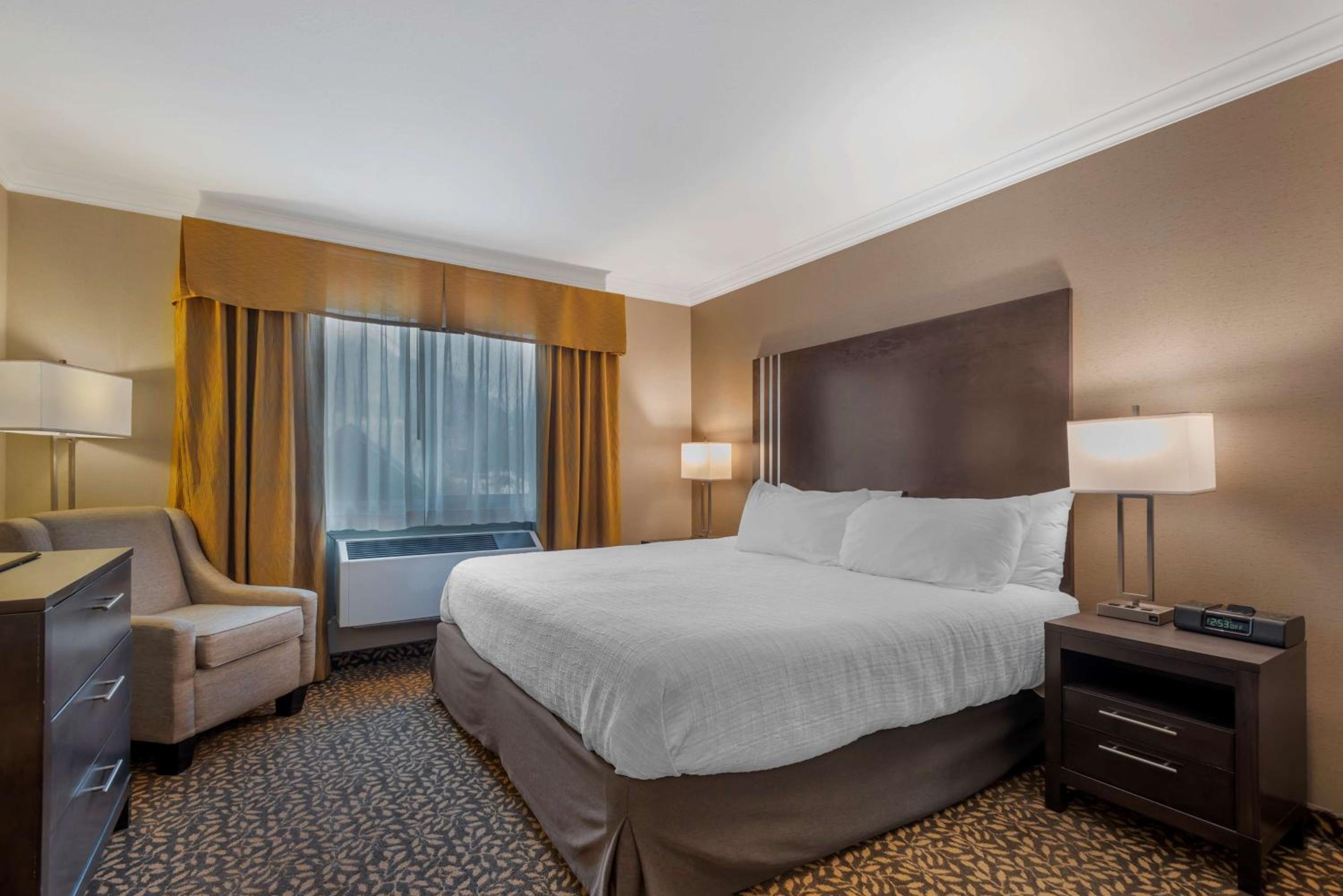 Room, King Bed, Pet Friendly