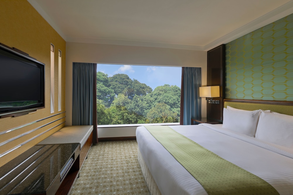Holiday Inn Singapore Orchard City Centre 19/73